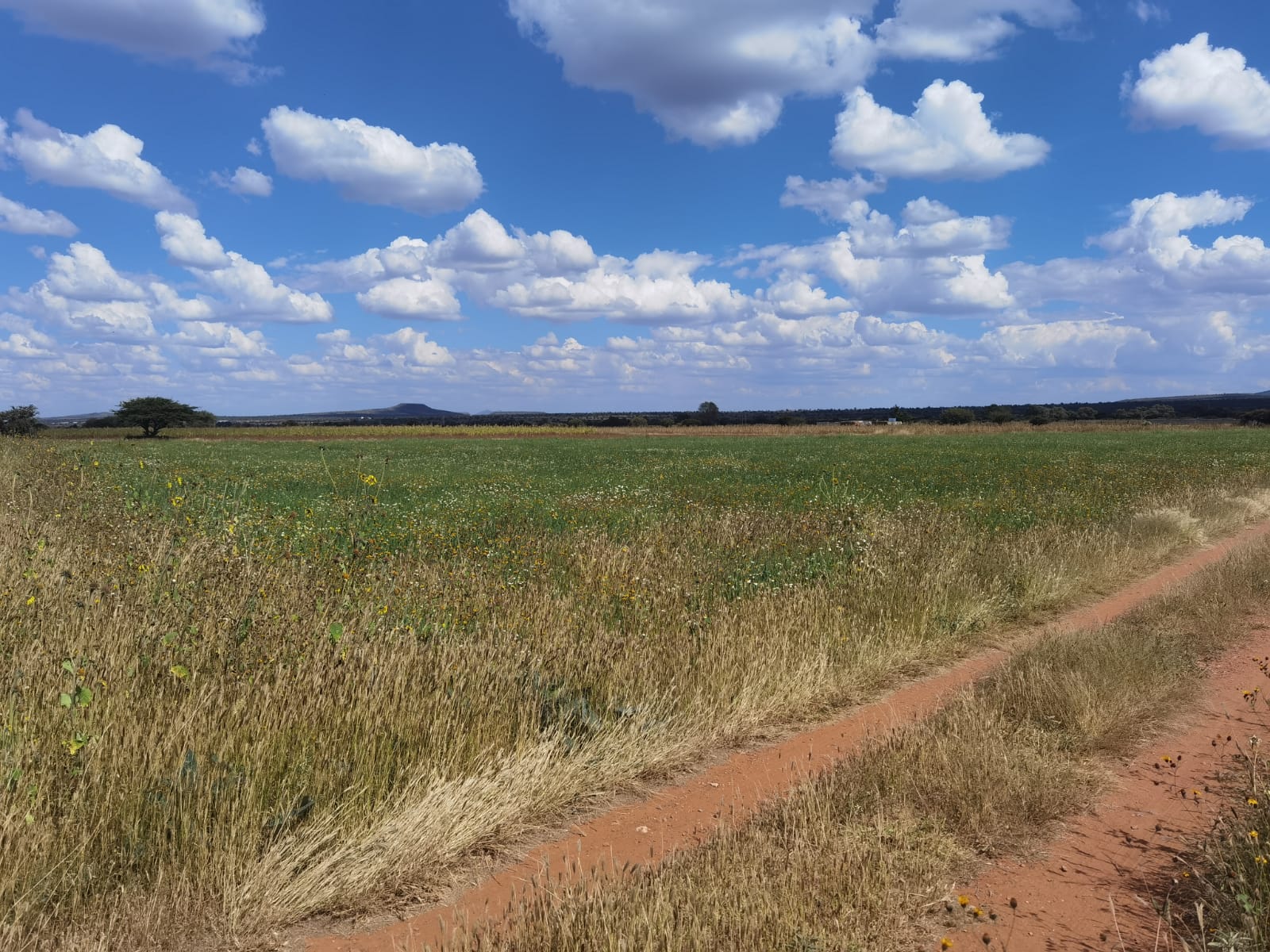 Lotes campestres en venta — San Jerónimo, Guadalupe — imagen 1
