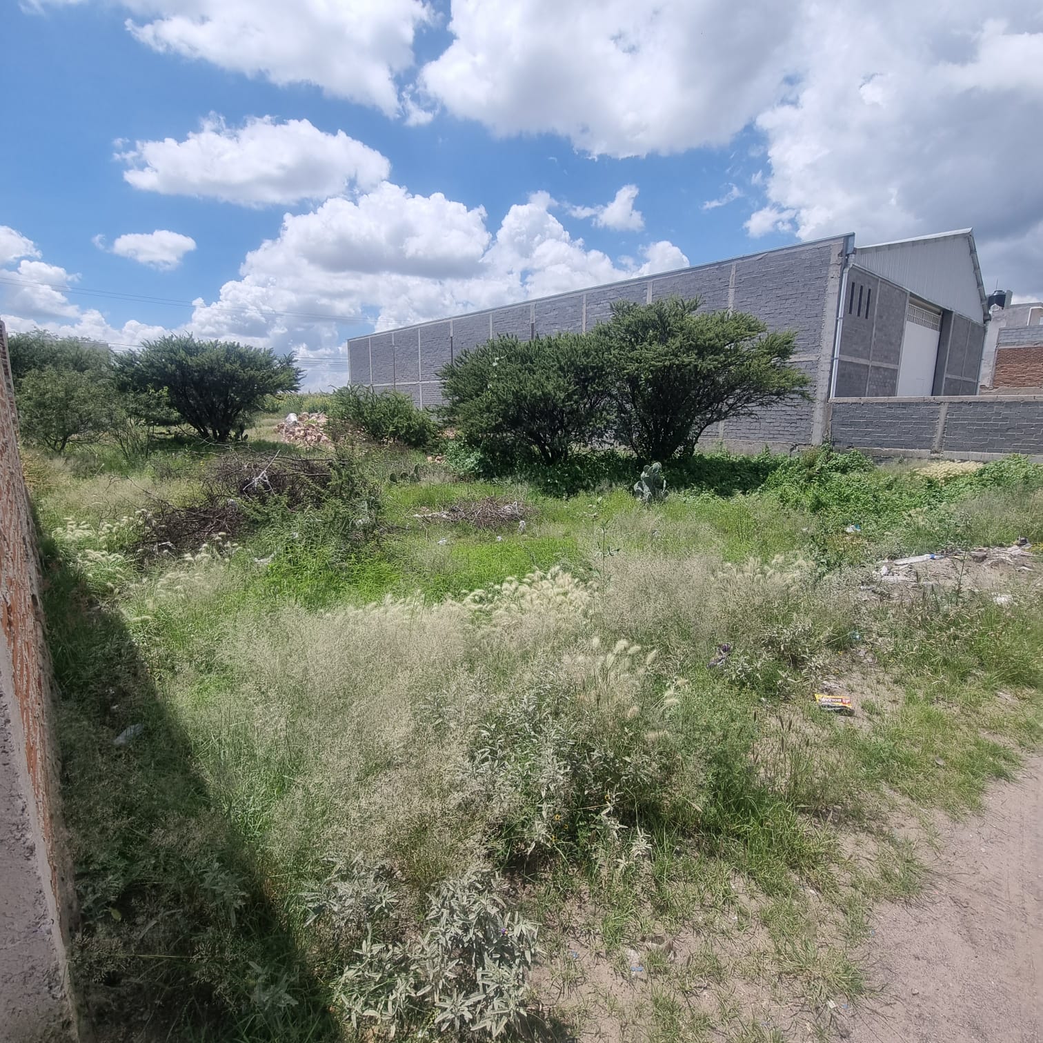 Remate de lote urbano — junto a la UTEZ — imagen 2