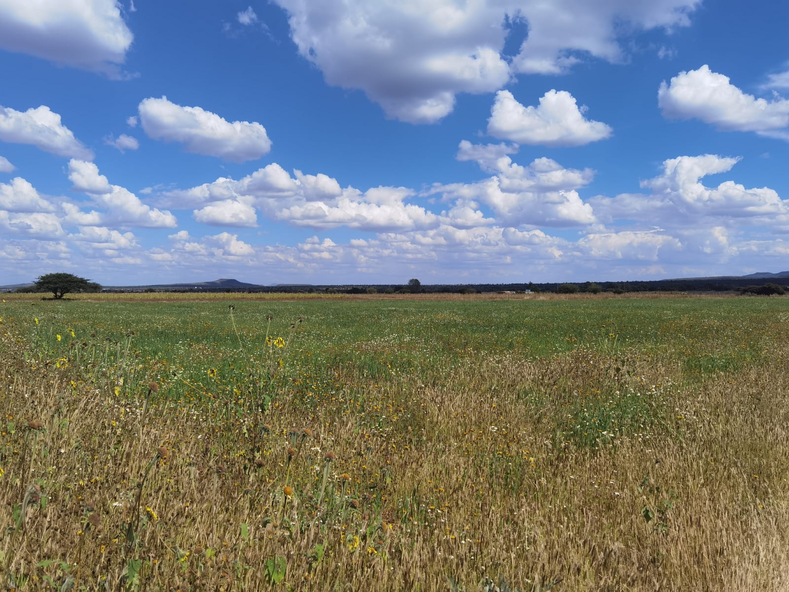 Lotes campestres en venta — San Jerónimo, Guadalupe — imagen 2