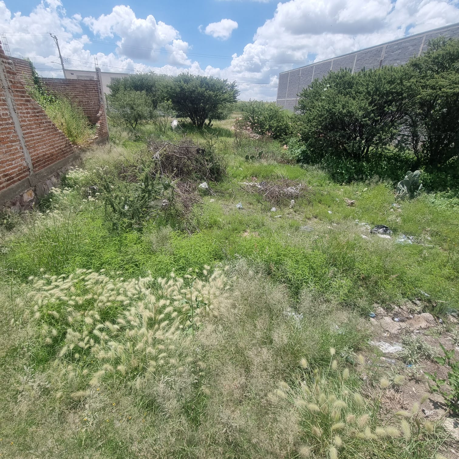 Remate de lote urbano — junto a la UTEZ — imagen 4